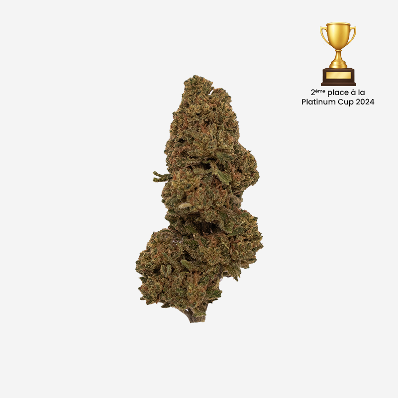 Fleur CBD Cannapunch Platinum Cup